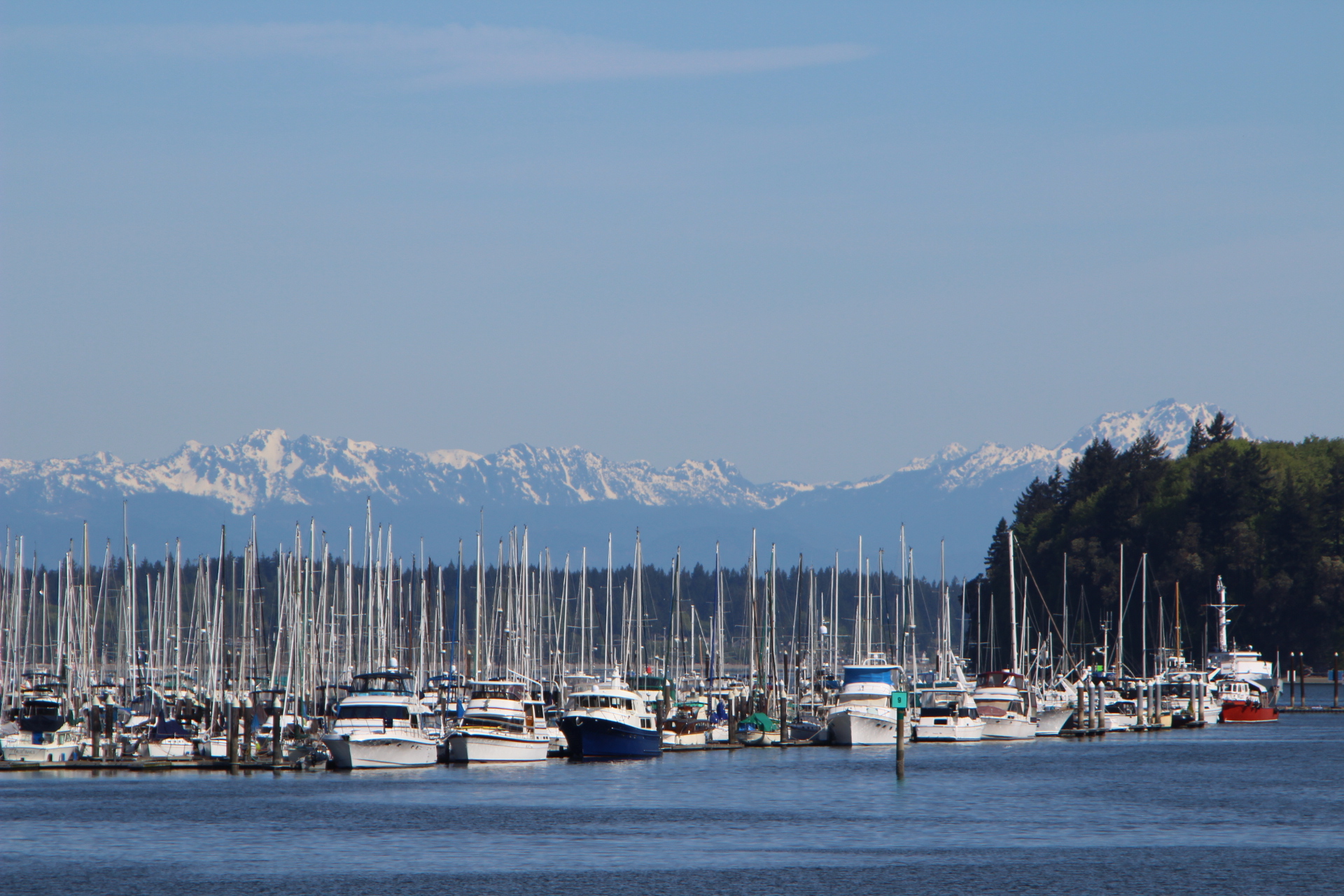 Major Corporations Jump Aboard the NorthAmericaTalk Platform