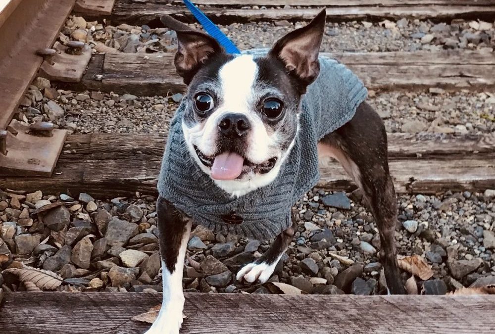 NorthAmericaTalk’s Community Social Network™ Helps Local Nonprofit Create New Community Connection